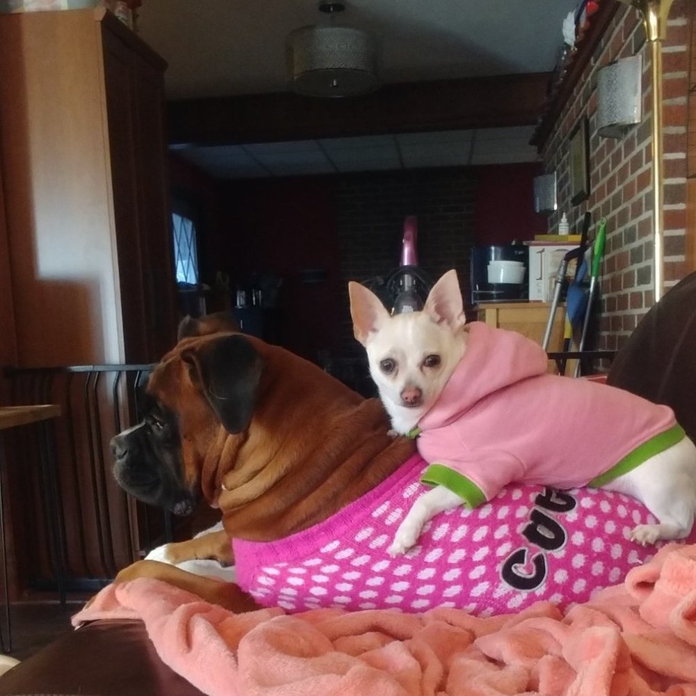 Meet your Posher, Kristen